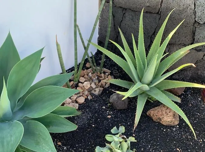 Casa Marta, Private Pool, Free Wifi *