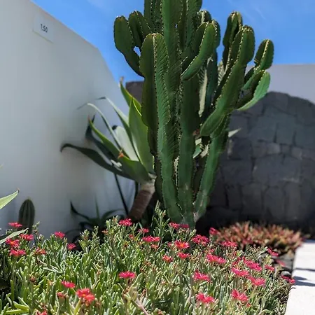 Casa Marta, Private Pool, Free Wifi 别墅