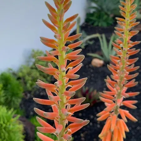 Casa Marta, Private Pool, Free Wifi