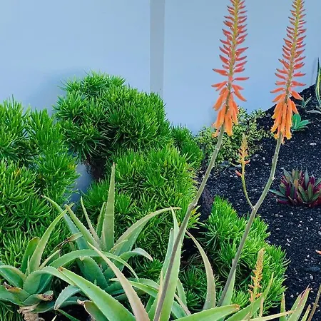 Casa Marta, Private Pool, Free Wifi * Playa Blanca (Lanzarote)