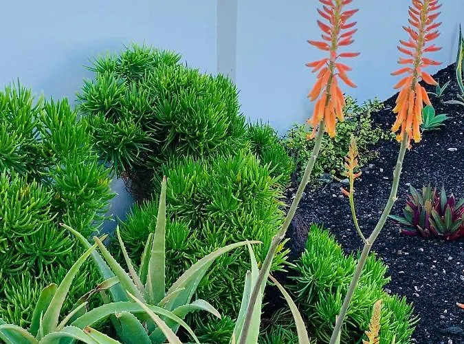 Casa Marta, Private Pool, Free Wifi * Playa Blanca (Lanzarote)